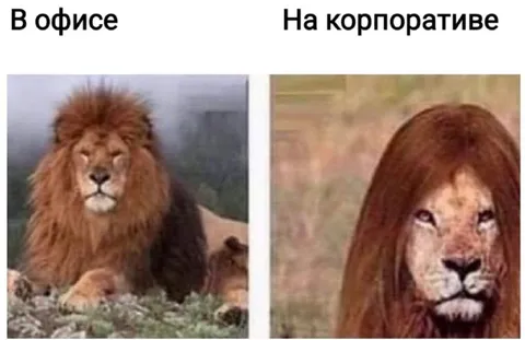 Лев в офисе и на корпоративе