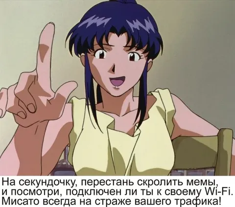 Мисато следит за трафиком