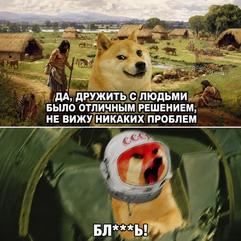 Дружить с людьми было ошибкой