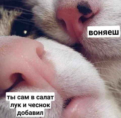 Ты сам в салат добавил лук
