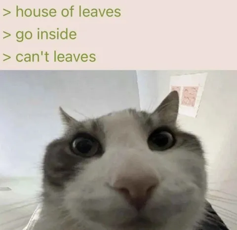 House of Leaves Cat