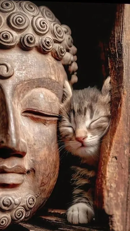 Котёнок рядом с Буддой