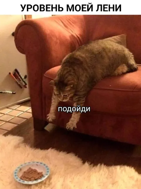Уровень моей лени: подойди