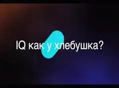 IQ как у хлебушка