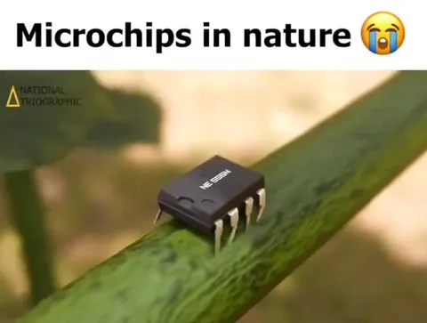 Microchips in Nature