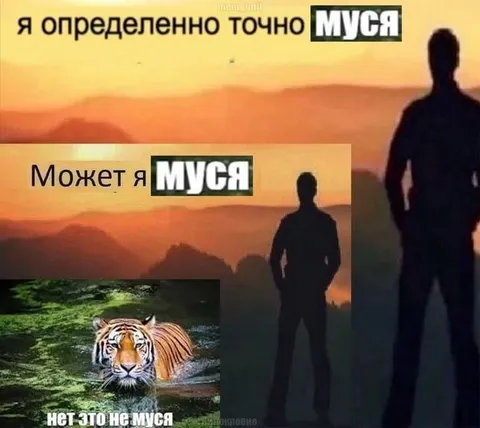 Может я Муся, но тигр не Муся