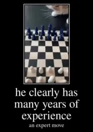 Cat Chess Grandmaster