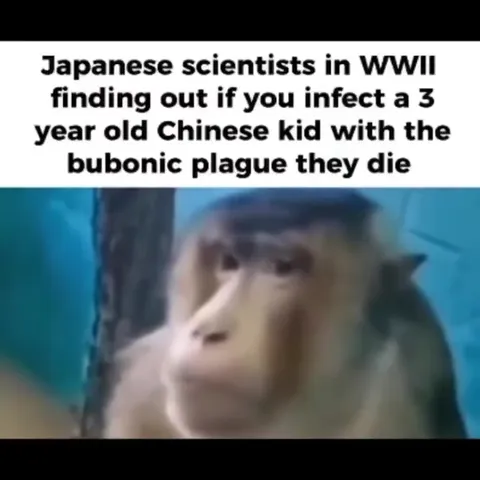 Japanese Scientists Monkey Reaction