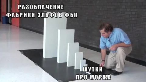 Разоблачение фабрики эльфов ФБК