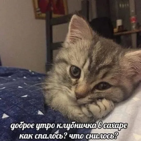 Доброе утро, клубничка в сахаре