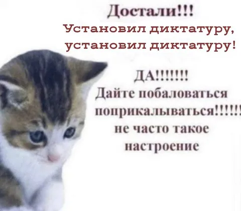 Кот установил диктатуру