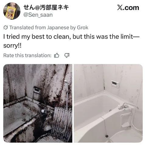 I Tried My Best to Clean