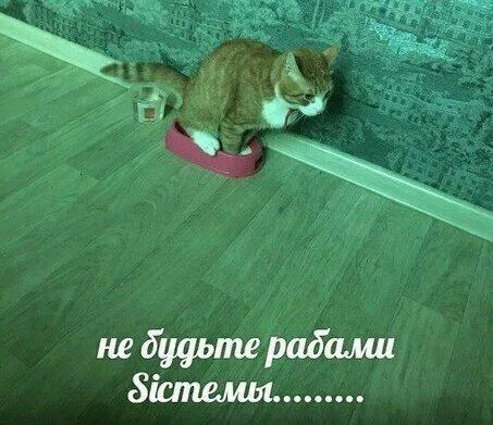 Не будьте рабами Сістемы