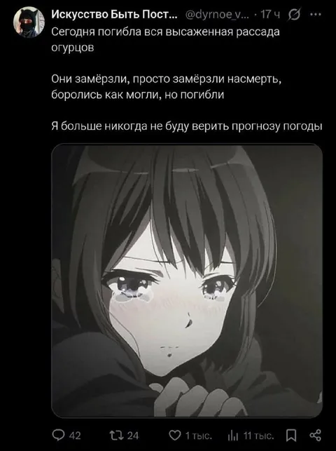 Погибла рассада огурцов