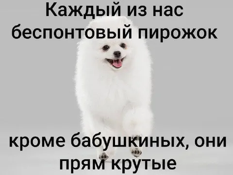 Каждый из нас беспонтовый пирожок