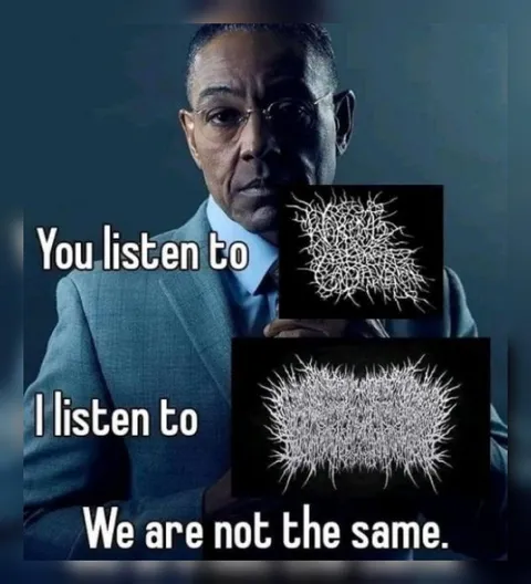 You Listen to Different Music