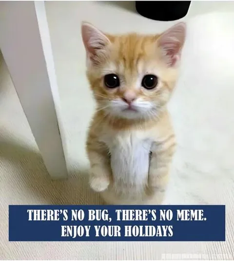 Котёнок без бага и мема