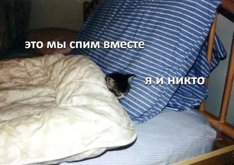 Спим вместе, но я и никто