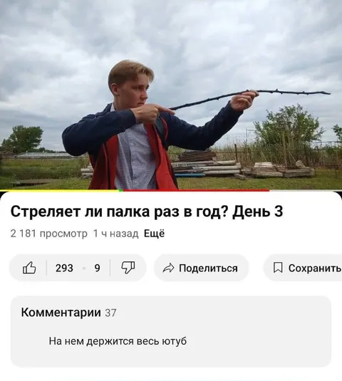 Стреляет ли палка раз в год