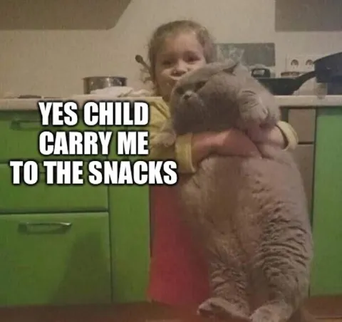 Child Carries Cat to Snacks