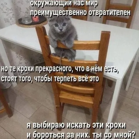 Крохи прекрасного в мире