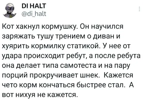 Кот взломал кормушку