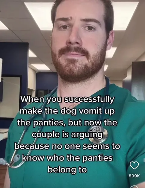Dog Vomit Panties Mystery