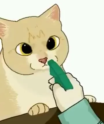 Кот после странного ритуала