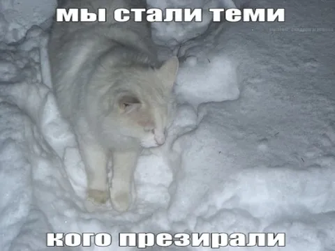 Мы стали теми, кого презирали