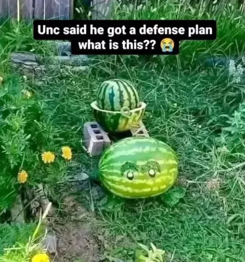 Watermelon Defense Plan