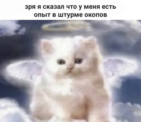 Опыт в штурме окопов