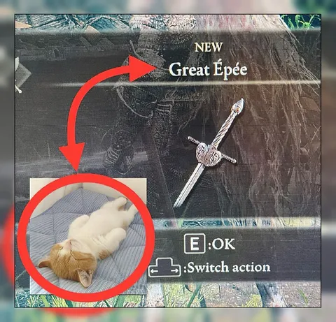 Great Épée Cat