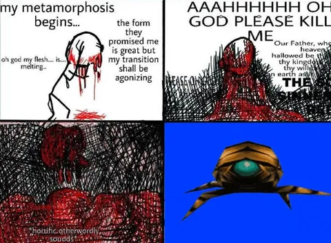 My metamorphosis begins