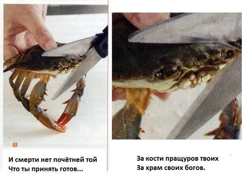Креветка за храм своих богов