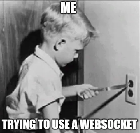 Trying to Use a WebSocket