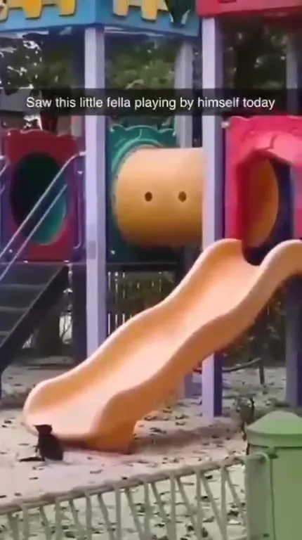 Little Fella Plays Alone