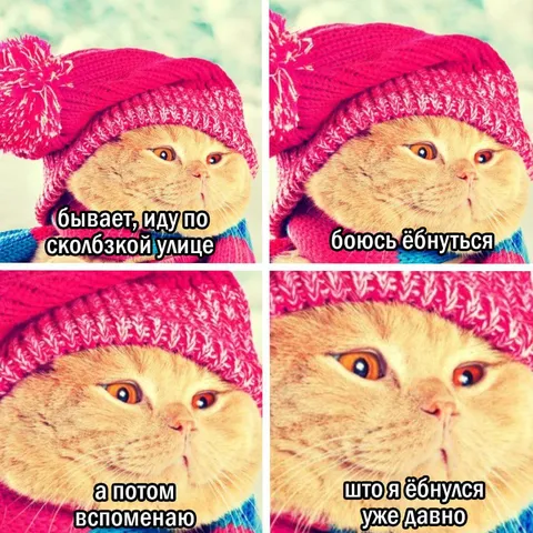 Кот боится поскользнуться