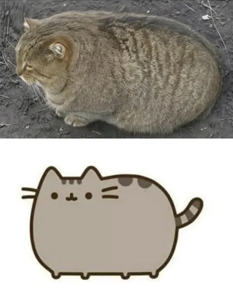 Кот и его мультяшная версия