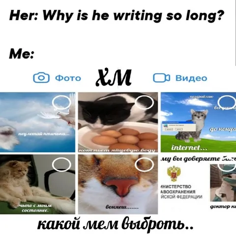 Какой мем выбрать