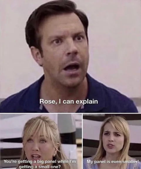 Rose, I Can Explain Panel Joke