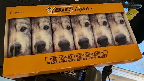 Dog Lighter Pack