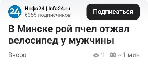 Рой пчел отжал велосипед