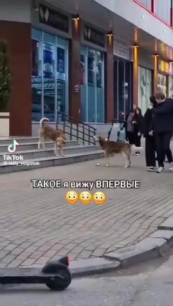 Такое я вижу впервые