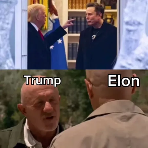 Trump and Elon Have a Good Thing