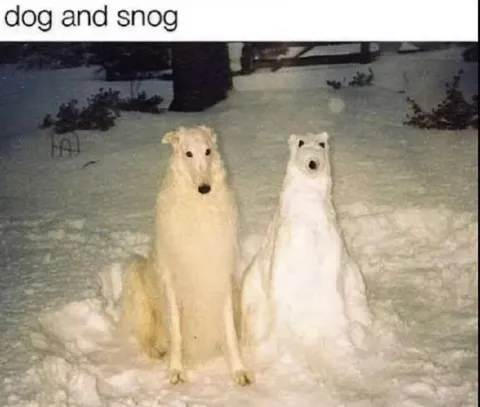 Dog and Snog in the Snow