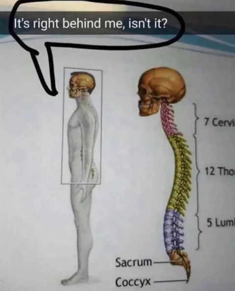 Spine Right Behind Me