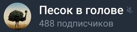 Песок в голове и 488 подписчиков