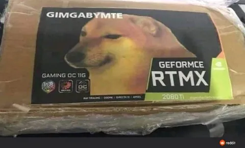 Doge Graphics Card