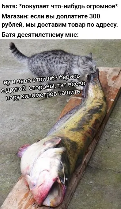 Кот тащит огромную рыбу