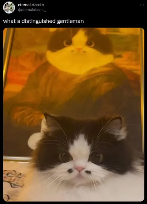 Distinguished Gentleman Cat Portrait